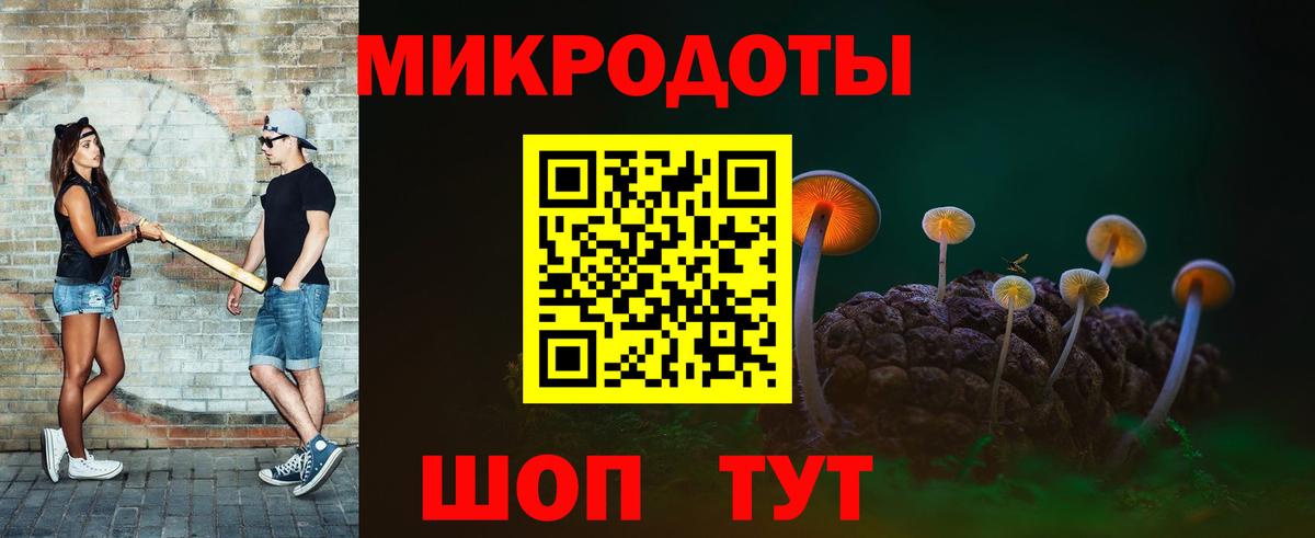 Псилоцибиновые грибы Psilocybe Оренбург